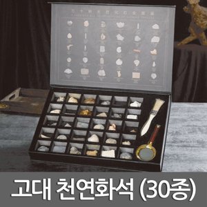 고대 천연화석(30종)R