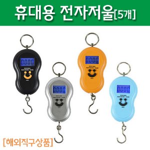 [해외직구]휴대용 전자저울(5개)