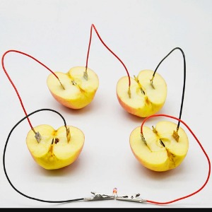 과일 전지 LED 실험 세트