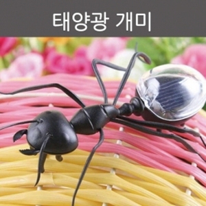 태양광 개미 R