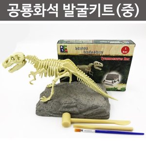 공룡화석 발굴키트(중)