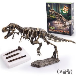 공룡화석 발굴키트(대)